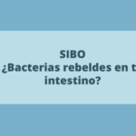 SIBO: ¿Bacterias rebeldes en tu intestino?